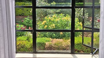 Janela com vista para um jardim com diversas plantas e flores.