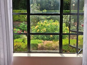 Una ventana con vista a un jardín lleno de plantas y flores.