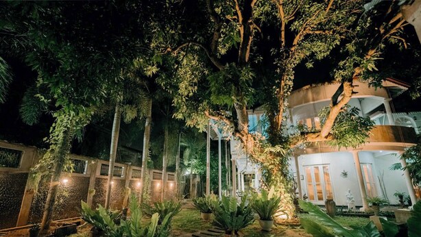 Un patio con plantas en macetas, un sendero y un edificio con varias ventanas y puertas.