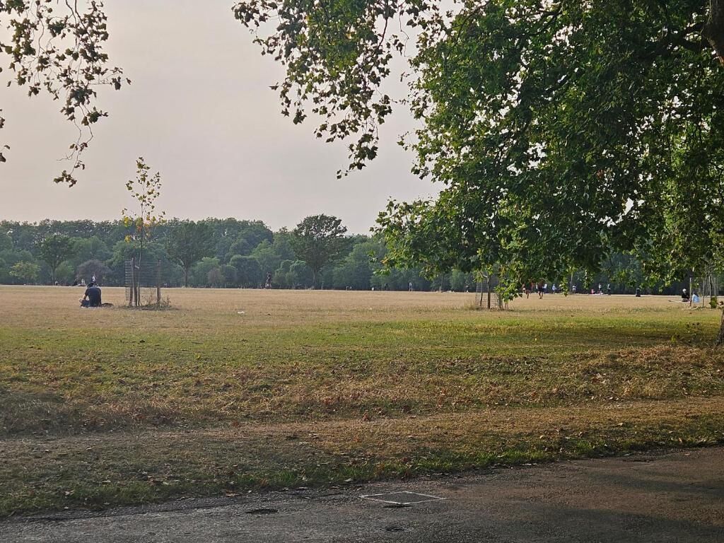 An open grassy field with trees and a paved path.