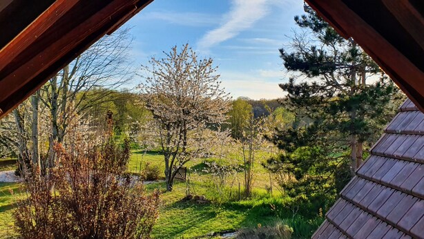 A view from a window overlooking a garden with trees and a wooden structure. - Lake View, Spacious House with Garden (Châtellerault)