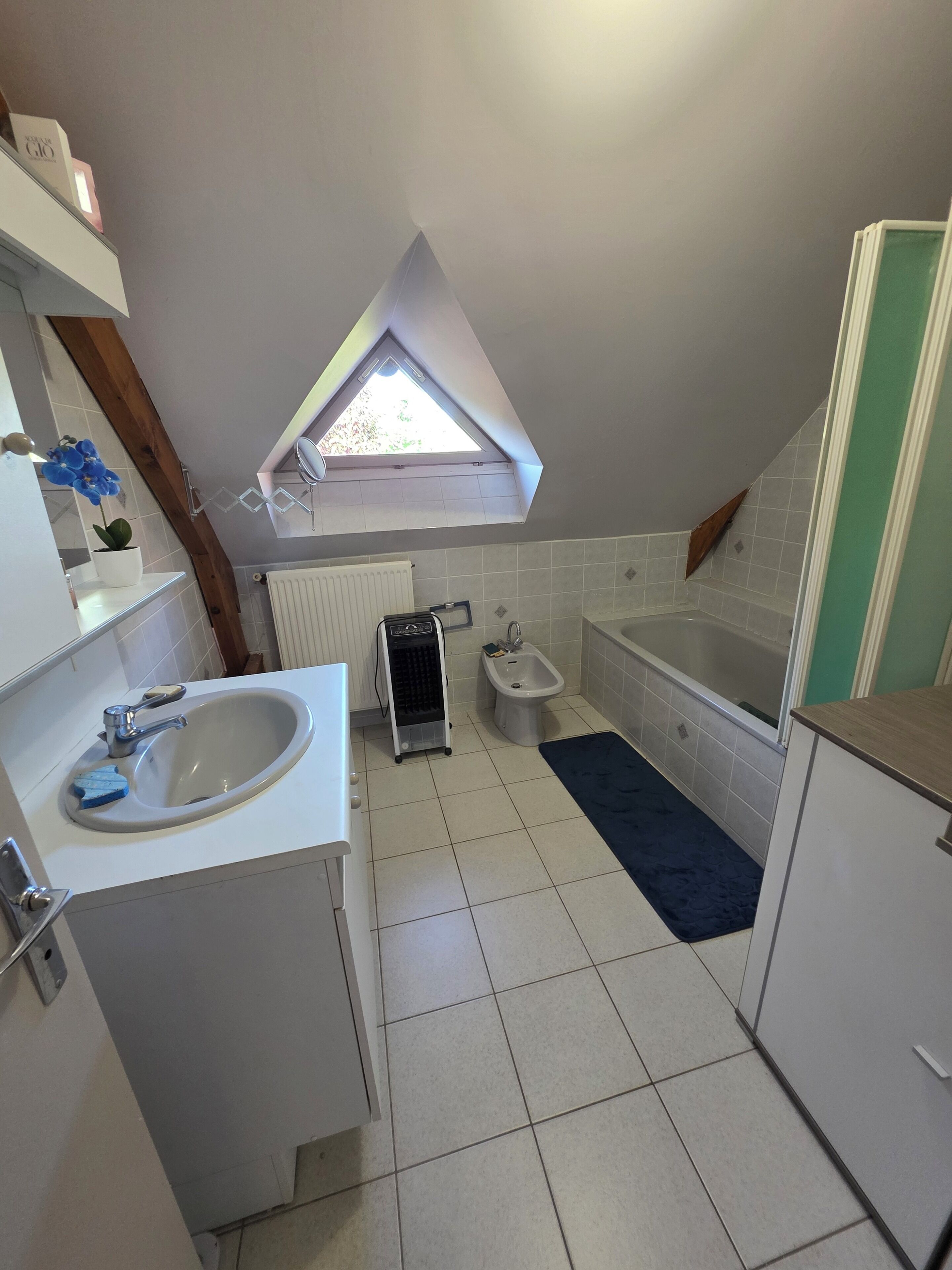A small, well-lit bathroom with a skylight, a sink, a bidet, and a bathtub.