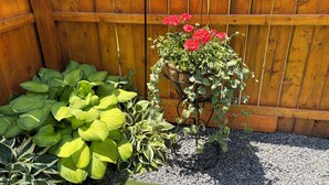 Ein Garten mit unterschiedlichen Pflanzen und einem Holzzaun im Hintergrund.