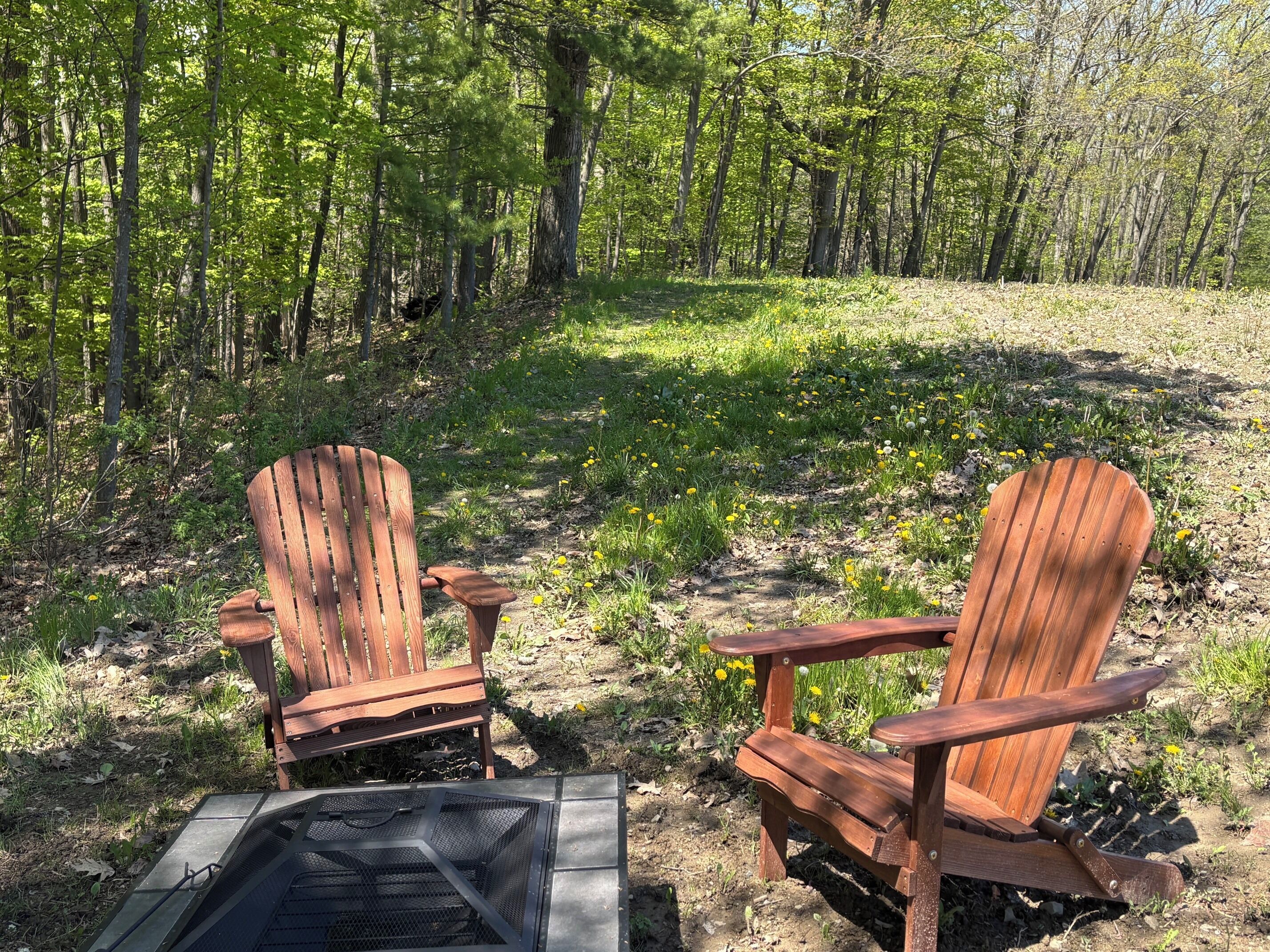 Two wooden Adirondack chairs in a forested area with a metal grill.