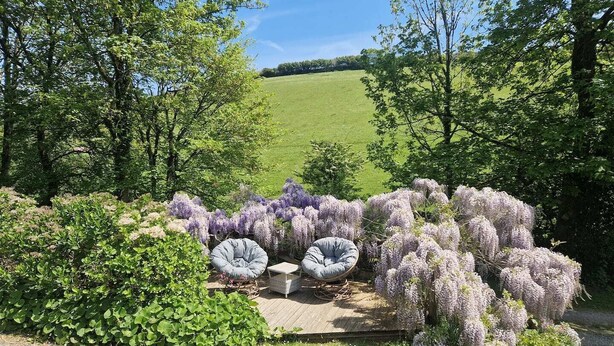 Property grounds - Willows near Bantham South Devon (Buckland Park, Bantham)