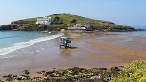 Beach - Willows near Bantham South Devon (Buckland Park, Bantham)