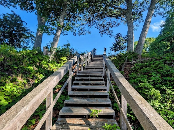 Property grounds - Oceanfront Maine Beach Retreat w/ Fire Pit (Hancock)