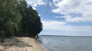Un rivage rocheux où se trouve une personne, debout près du bord de l’eau, entourée d’une végétation dense.