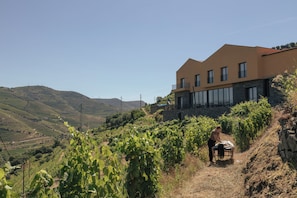 Exterior - Quinta do Roso - Douro Wine Estate - by FERO (Lamego)