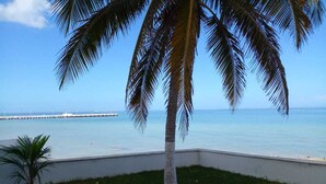 A palm tree, a small palm plant, and a body of water with a pier in the background. - Beachfront Apartment | Ground Floor and Pool (Progreso)