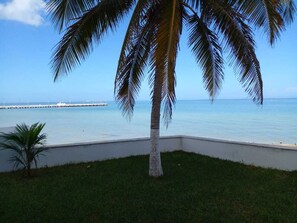 A palm tree, a small palm plant, and a body of water with a pier in the background. - Beachfront Apartment | Ground Floor and Pool (Progreso)