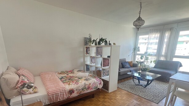 Una sala de estar con una cama, un sofá, una mesita de centro, una estantería y una lámpara colgante.
