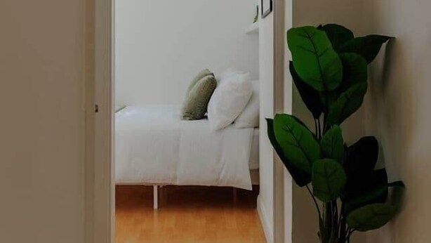 Un pasillo estrecho que conduce a una cama con cabecera blanca, una planta en maceta y un cuadro en la pared.