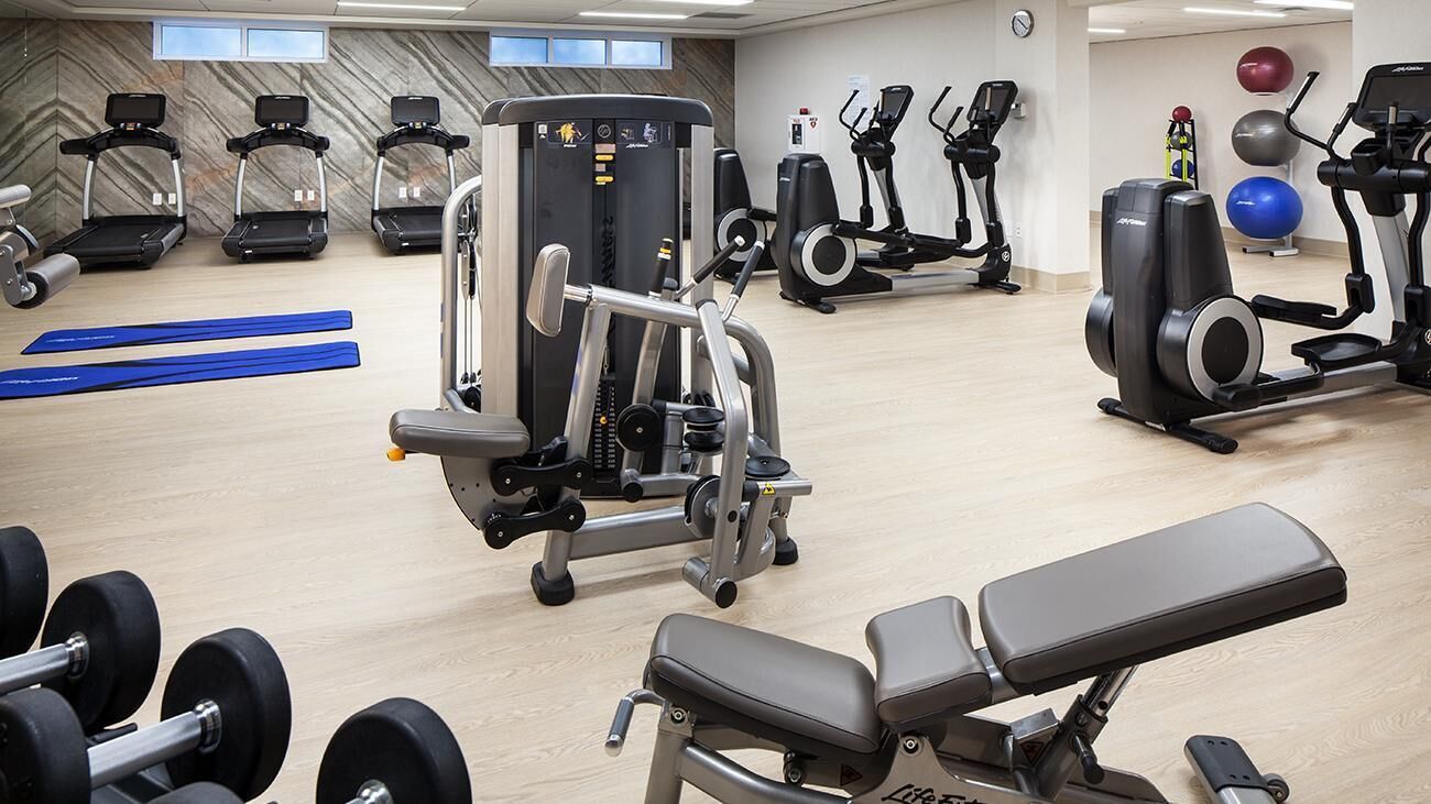 A gym with treadmills, elliptical machines, a weight bench, and free weights.