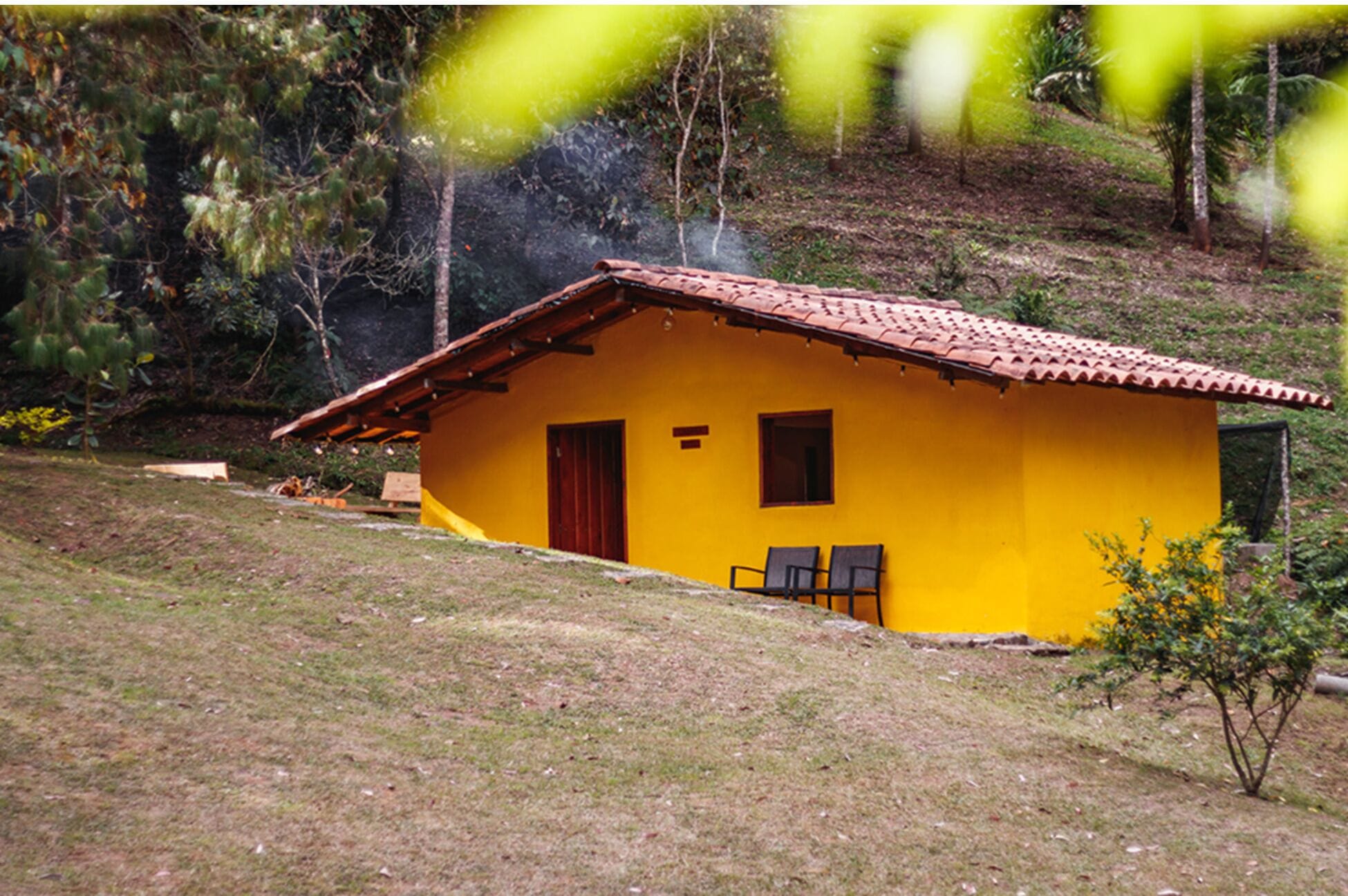 Exclusive Suite, Patio, Mountain View | Bahagian luar