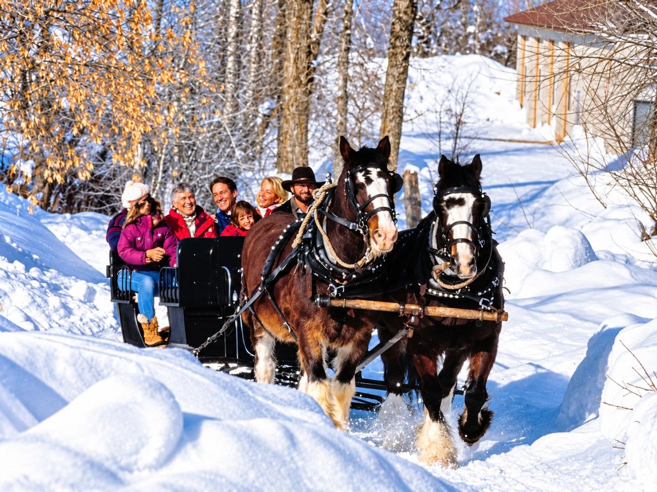 A horse-drawn sleigh with passengers in a snowy landscape.