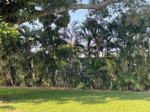 A lush garden with various tropical plants and a well-maintained lawn.