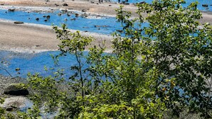 Una playa con agua azul cristalina, montañas a lo lejos y algo de vegetación en primer plano.