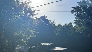 A parked vehicle on a concrete surface with shadows of trees. - Cozy 1-bedroom apartment in nice Brownwood with AC (Brownwood)