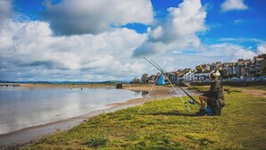 A person fishing by a calm lake with a tent and fishing rods, a bridge in the background, and a row of houses along the shore.
