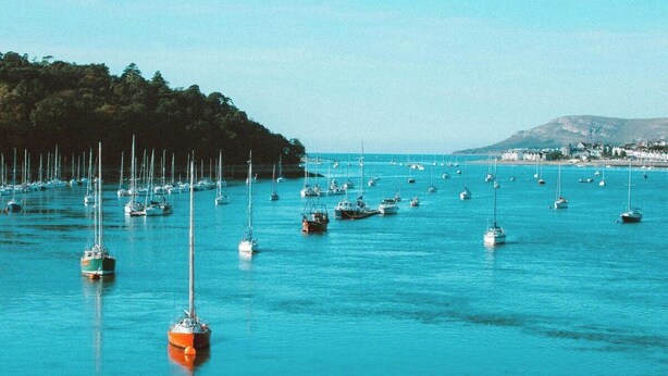 A marina with numerous boats anchored in calm waters.