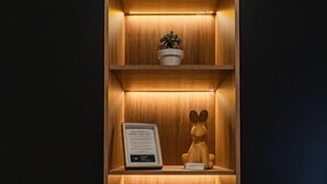 A wooden shelf unit with a potted plant, a framed certificate, and a figurine. - Casa Lily  (San Cristóbal de las Casas)