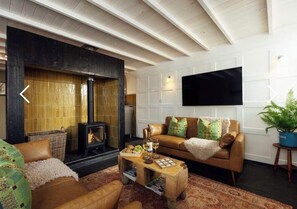 Smart-TV, Kamin
