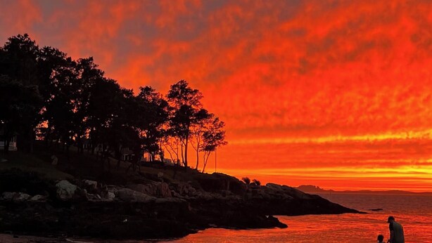 A sunset over a beach with trees and a rocky shoreline.
