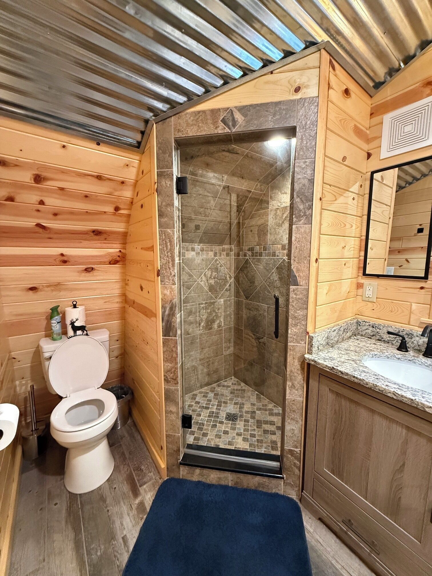 Shower, towels, soap, toilet paper