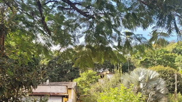 Un sendero pavimentado que conduce a una entrada con puerta y un edificio con abundante vegetación al fondo.