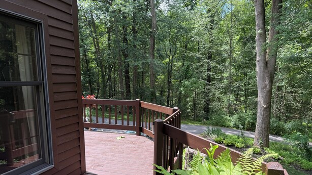 A wooden deck with a railing, surrounded by lush greenery and trees. - Spacious 1-bedroom suite surrounded by nature in charming Downingtown. (Downingtown)