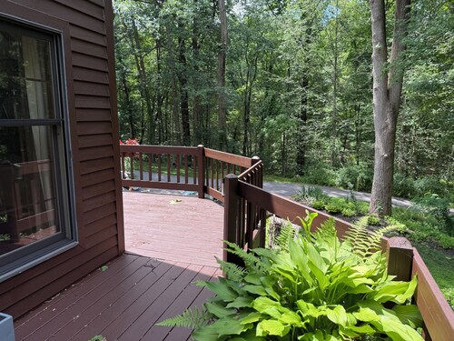 Spacious 1-bedroom suite surrounded by nature in charming Downingtown.