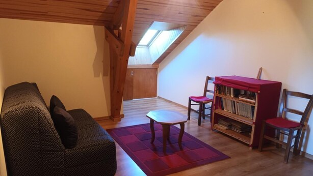 Une pièce de style loft avec un plafond en bois, un canapé, une petite table, une bibliothèque et un tapis rouge.