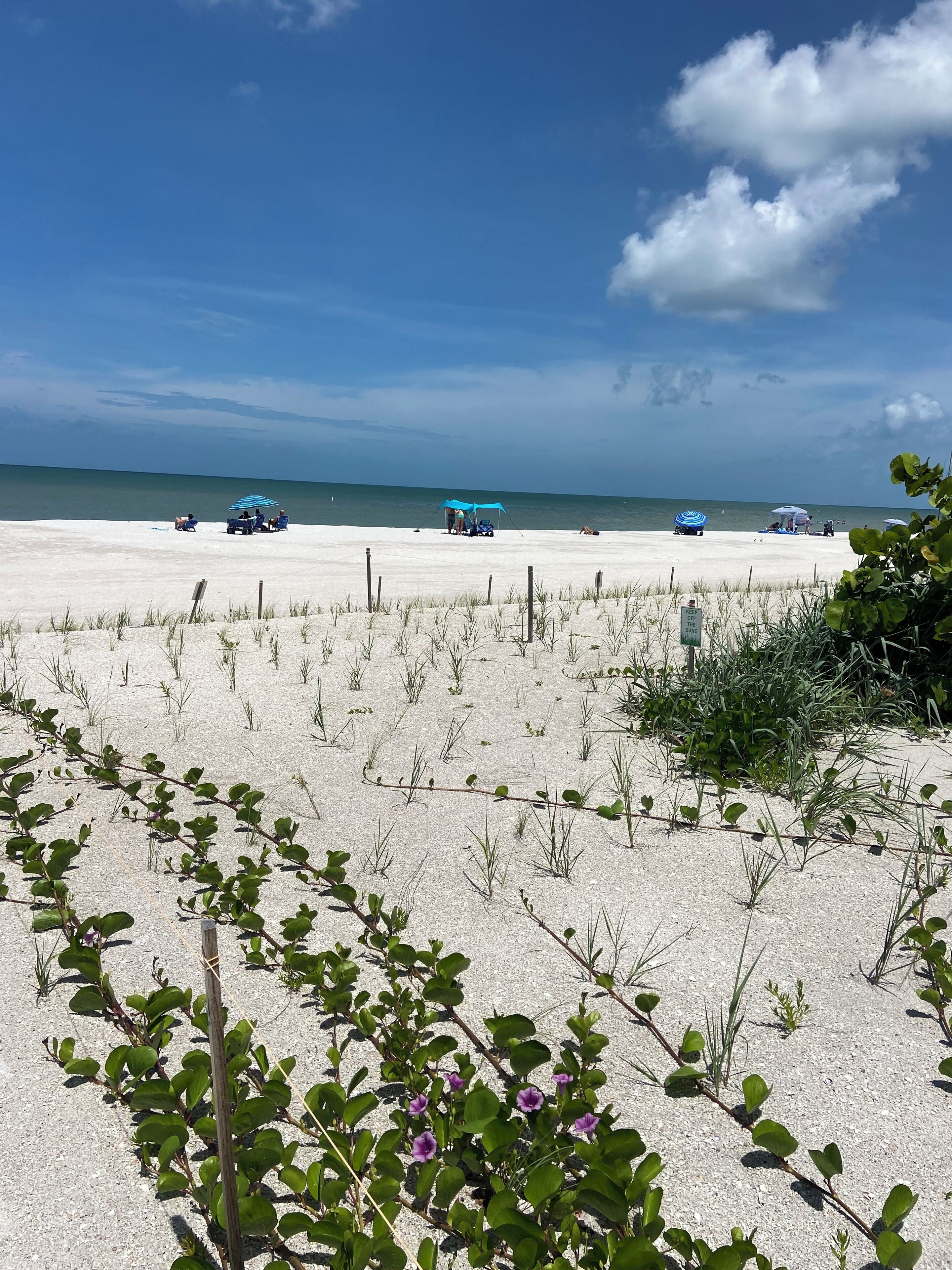 A sandy beach with sparse vegetation, a clear sky, and a calm sea.