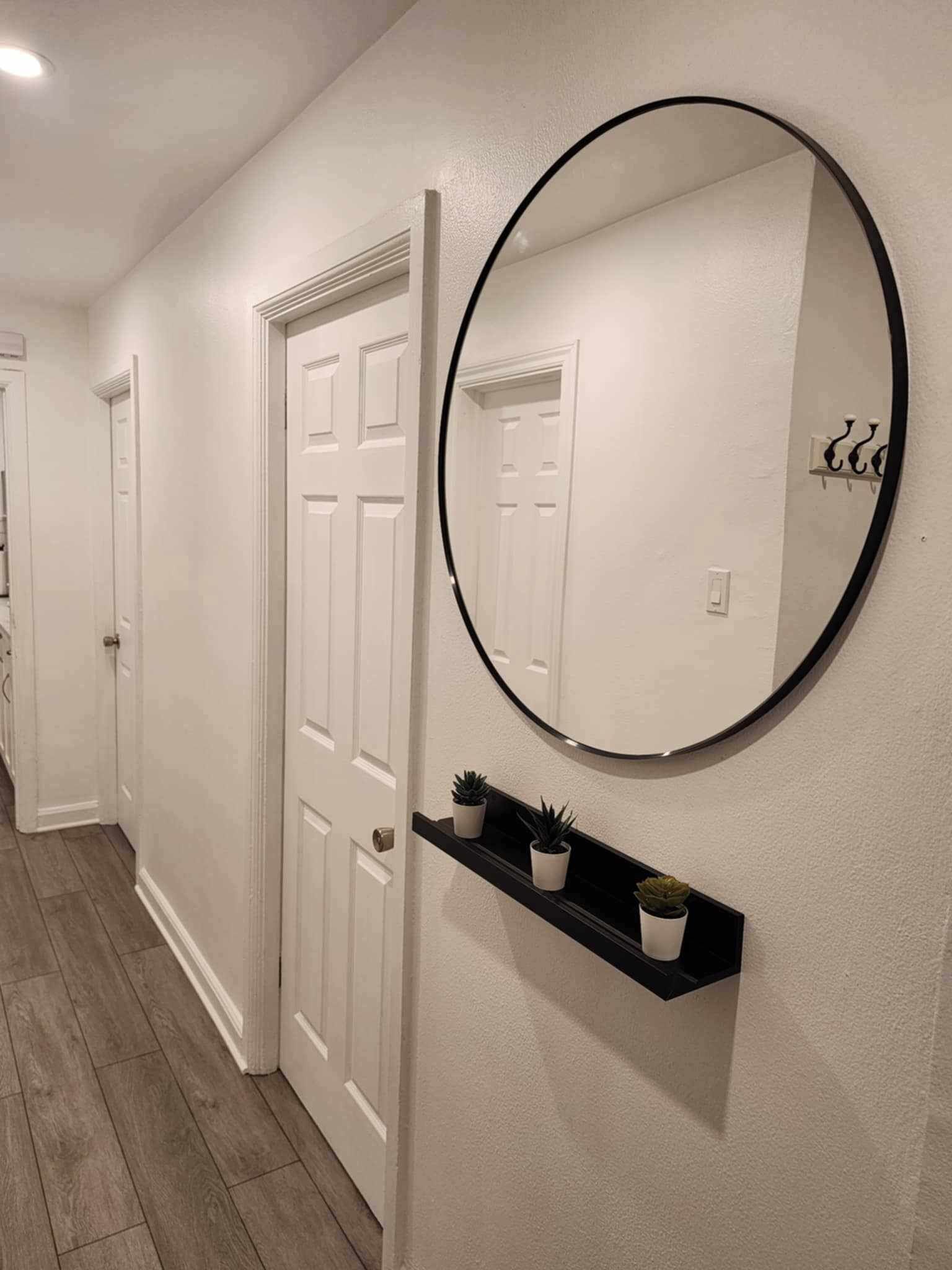 Un couloir avec des portes blanches, un miroir rond et une étagère noire ornée de plantes en pot.