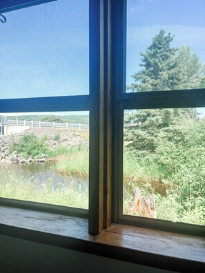 A window with a view of a natural landscape including a body of water, greenery, and a distant fence.