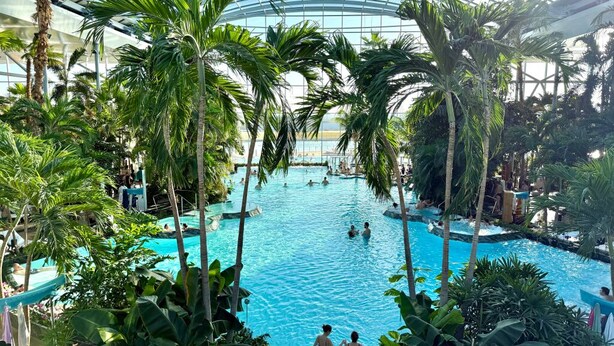 An indoor swimming pool with palm trees, surrounded by lush greenery.