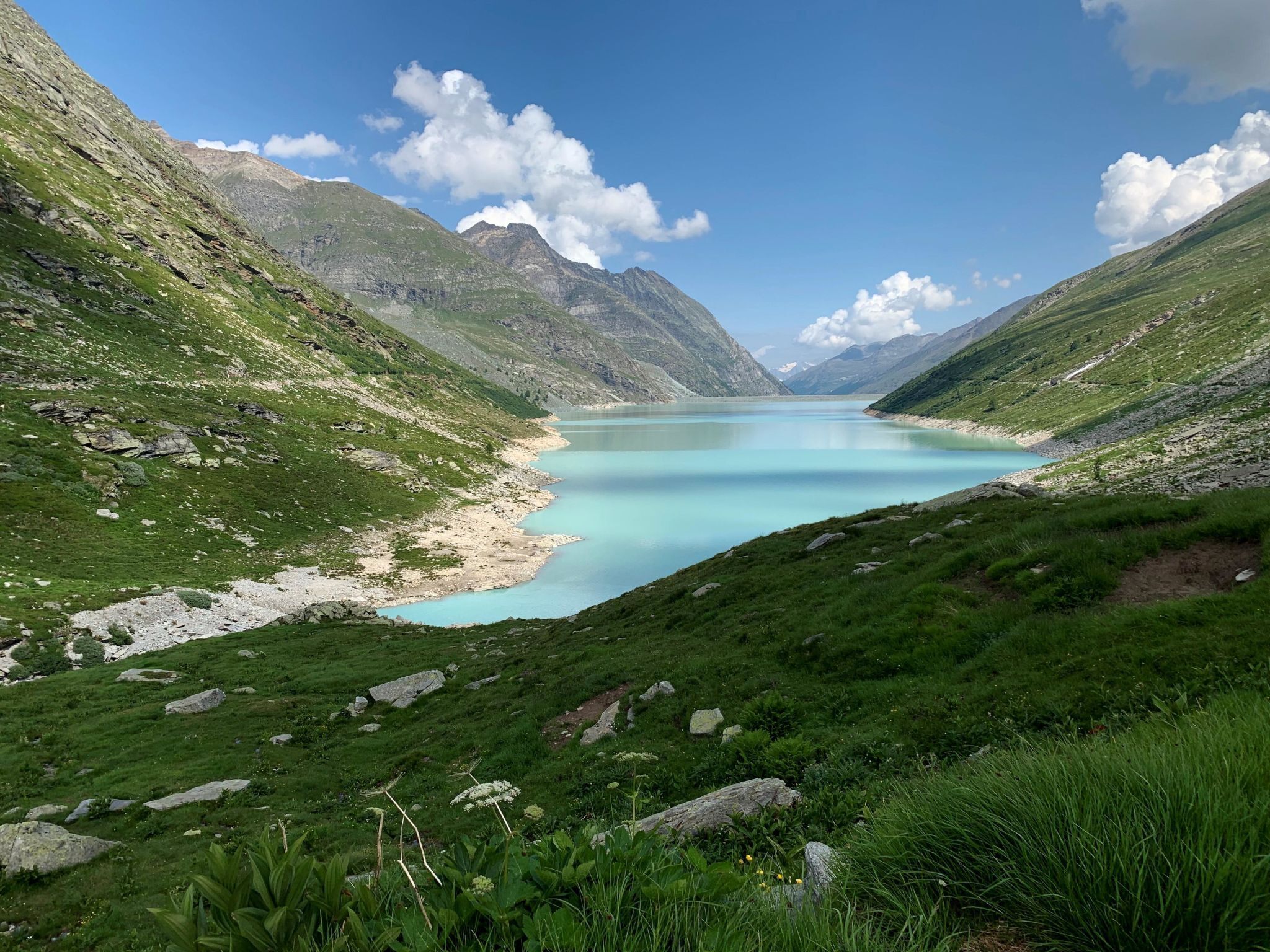 منوع