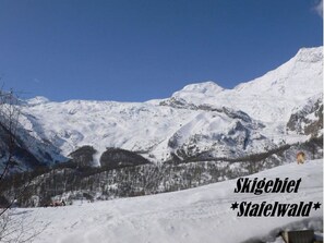 Miscellaneous - 5-Bettwohnung Nr. 1 by Interhome (Saas-Fee)