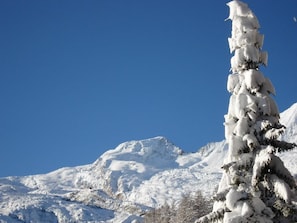 Miscellaneous - Acimo Appartement/Fewo 2-Bettwohnung Muschi by Interhome (Saas-Fee)