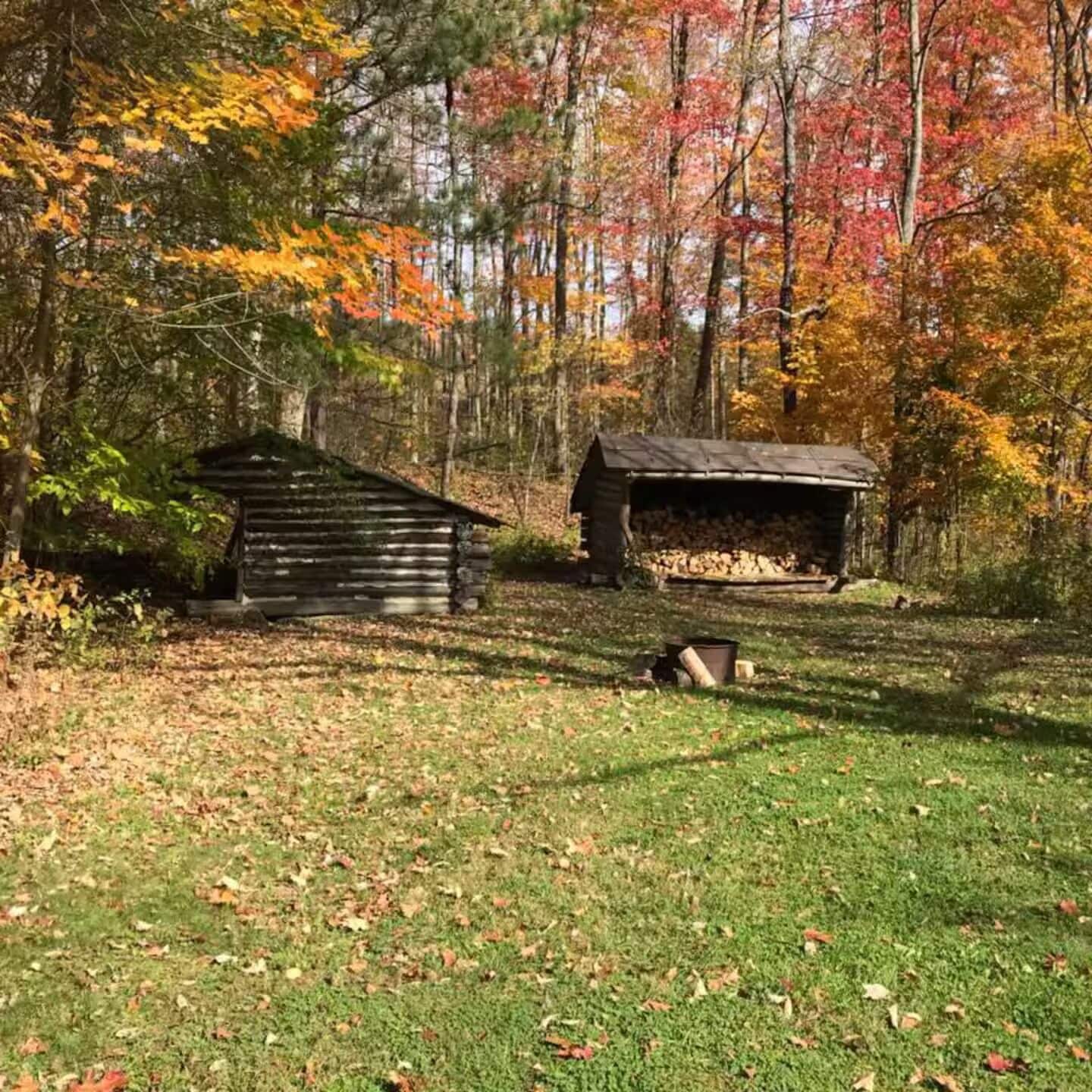 A rustic cabin in a forest with a grassy clearing and a pile of logs.