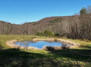 A natural landscape with a pond, grassy areas, and trees.