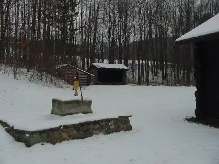 Round Top Retreat, Rustic Cabin - Dryden, NY