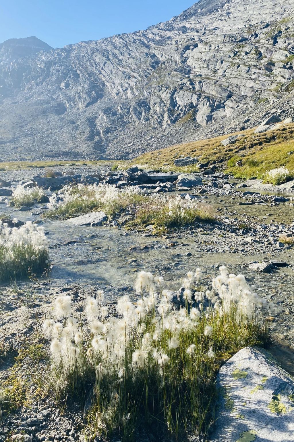 Gerölliges Gelände mit vereinzelter Vegetation und einem Berg im Hintergrund.
