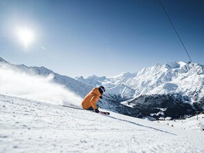 Snow and ski sports - Ferienhaus Antigua Appartement/Fewo 4-Bettwohnung Erker by Interhome (Saas-Grund)