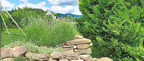 Terrain de l’hébergement