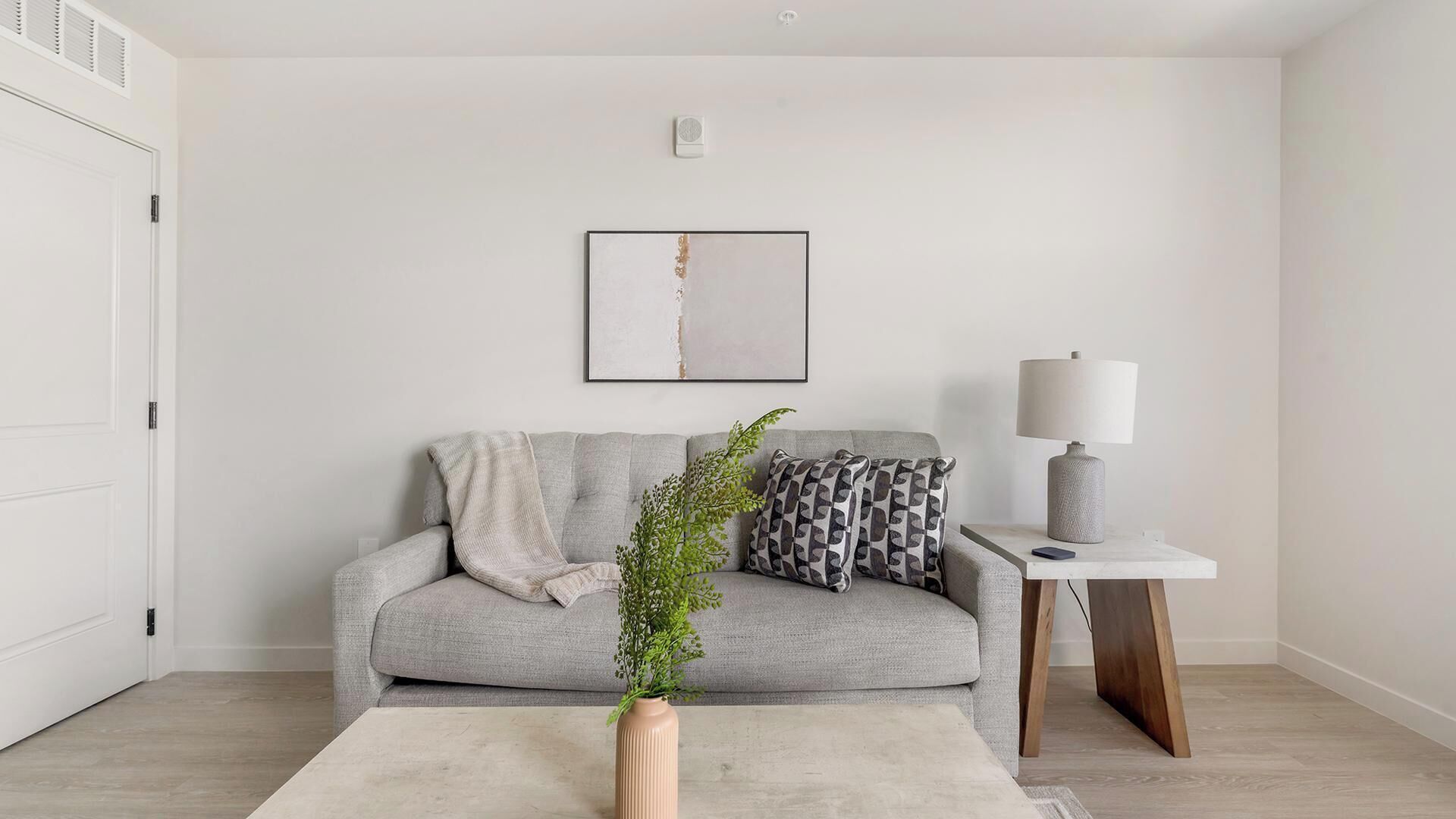 En moderne stue med en grå sofa, et lille sofabord med en lampe, et indrammet abstrakt kunstværk på væggen og en potteplante på et tæppe.