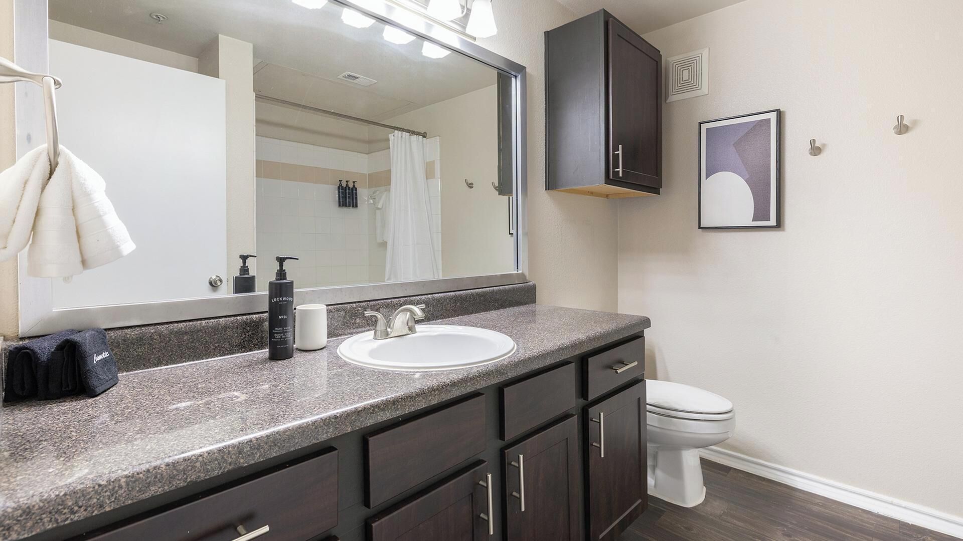 A bathroom with a large mirror, a sink, dark cabinets, a toilet, and a framed picture on the wall.