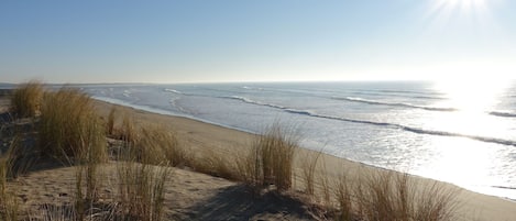 Ein Strand mit Dünen und Gras, ein klarer Himmel und das Meer.
