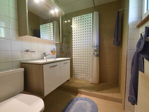 Baño con inodoro, lavamanos, ducha y espejo.